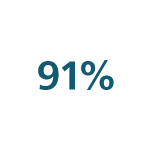 Icono del 91 por ciento