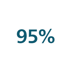 Icono del 95 por ciento