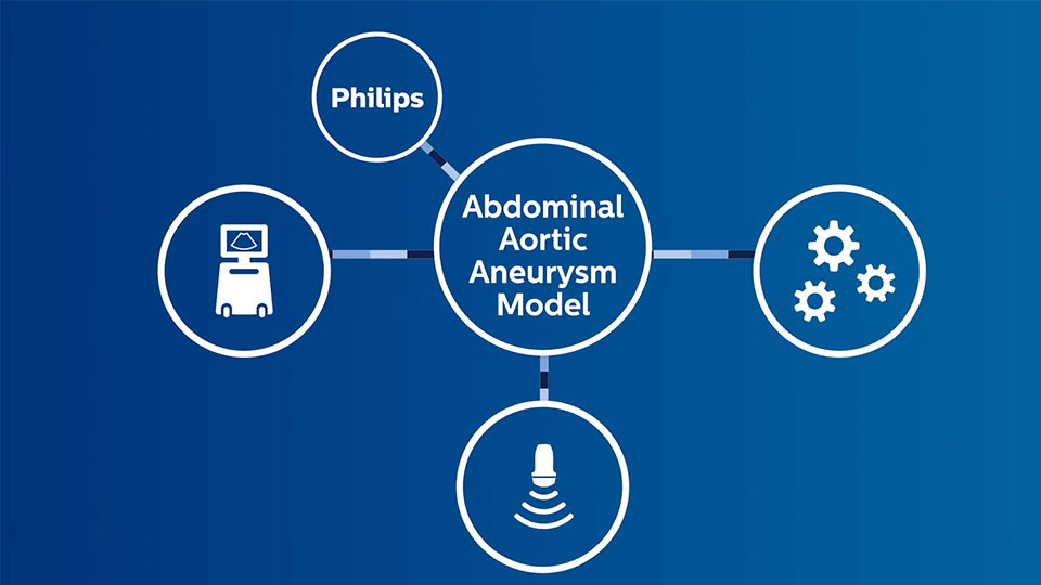 Modelo de aneurisma aórtico abdominal