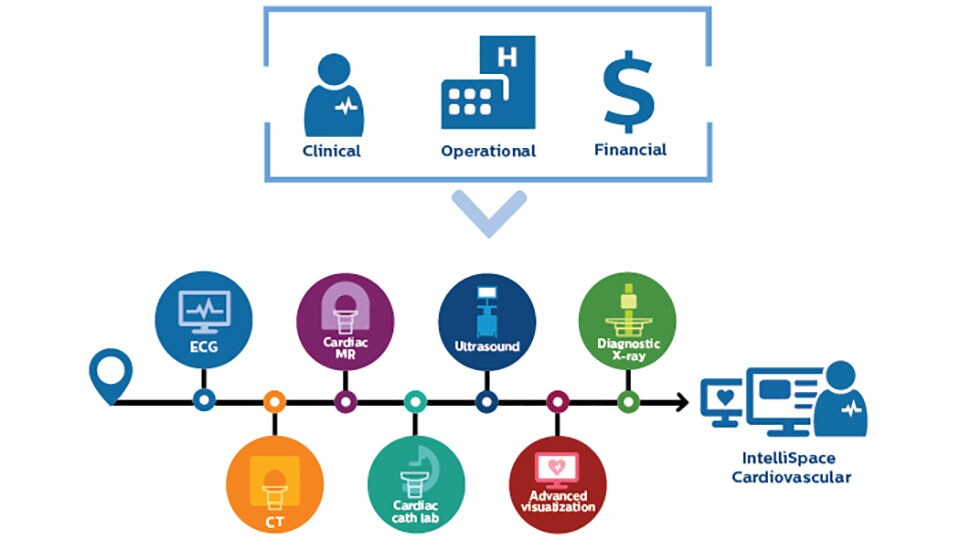 Infografía todo en un solo lugar
