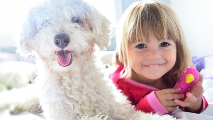 ¿Los niños con asma pueden tener mascotas?