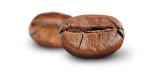 Café Robusta