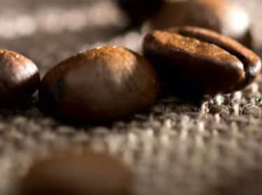 Granos de café orgánicos