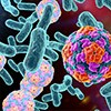 Alergia a bacterias