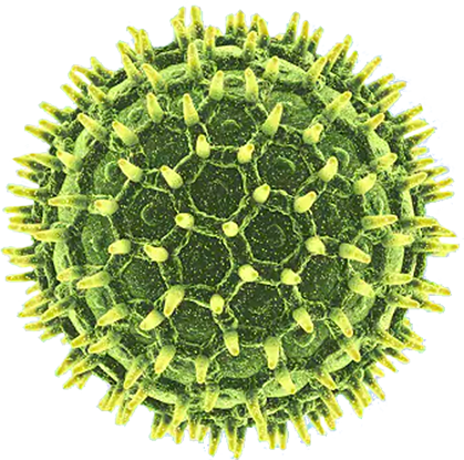 partícula de virus