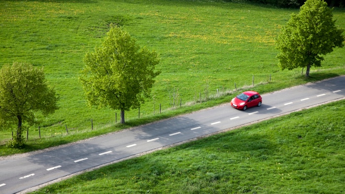 carretera de bosque