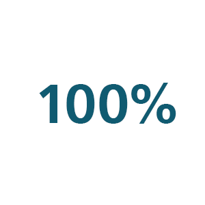 Icono 100&nbsp;%