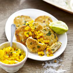 Electrodomésticos de cocina que ayudan a crear deliciosas buñuelos-pescado-tai