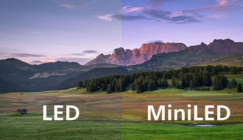 Comparación entre The Xtra LED y MiniLED de Philips