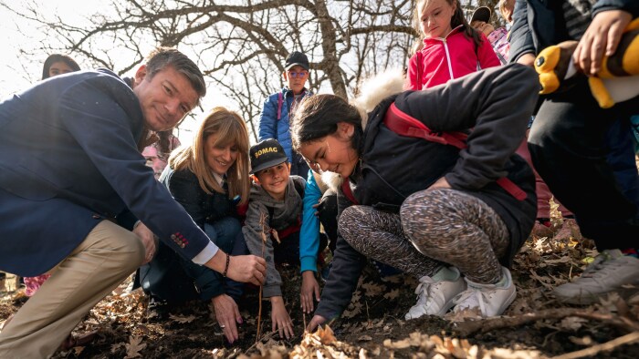 Philips se une a Carrefour España en favor de los bosques en Castilla y León